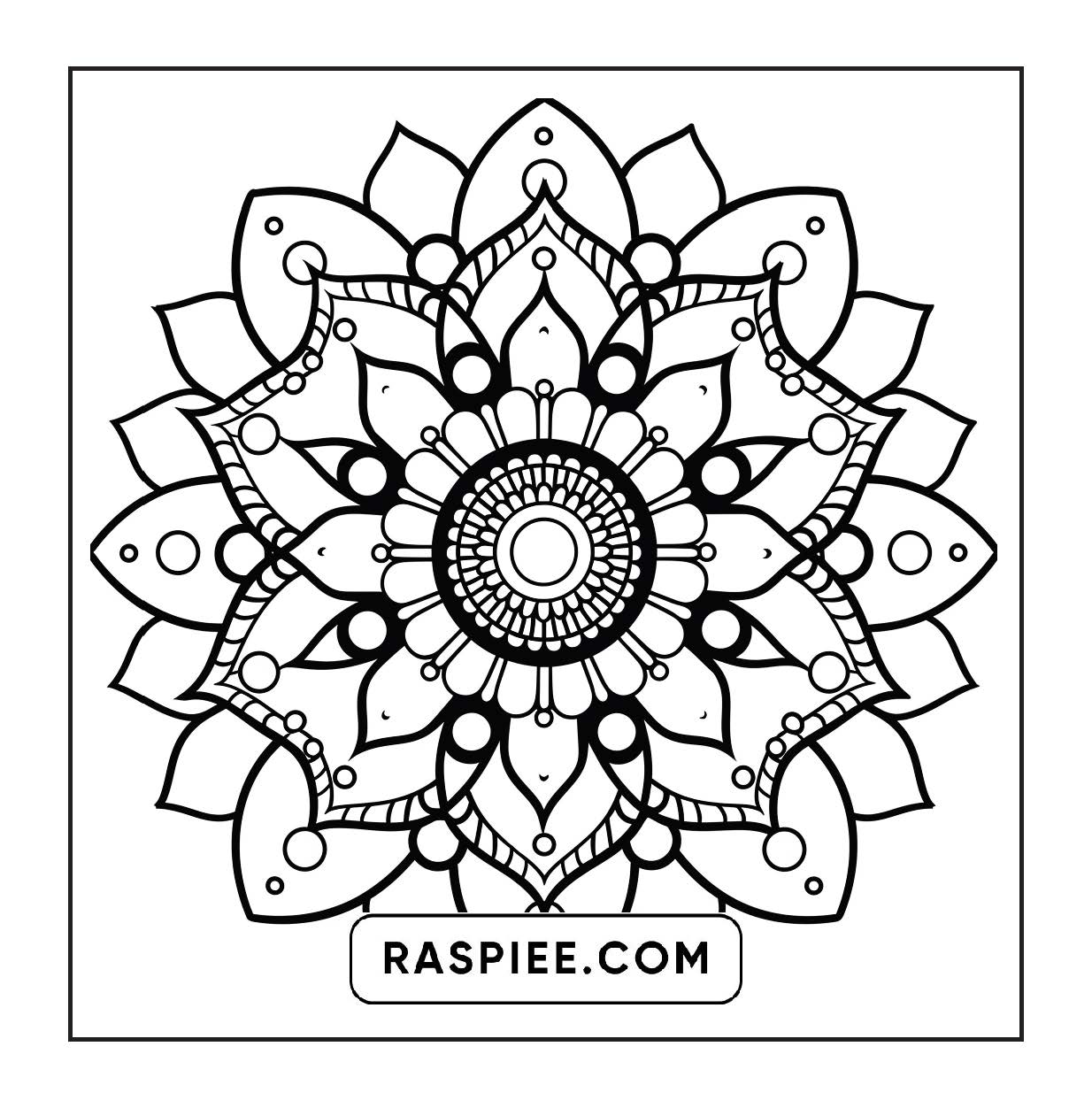 250 Mandala Adult Coloring Pages Vol.3