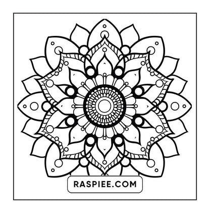 250 Mandala Adult Coloring Pages Vol.3