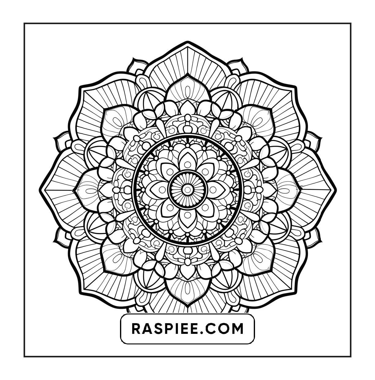 250 Mandala Adult Coloring Pages Vol.3
