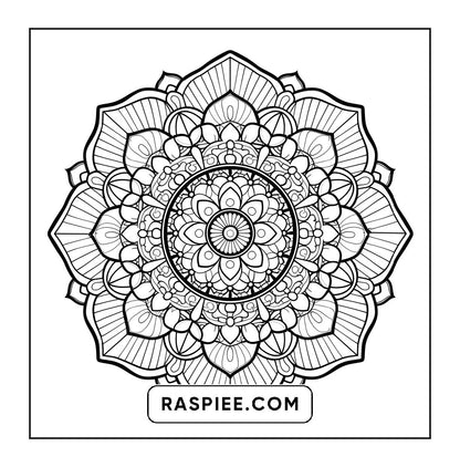 250 Mandala Adult Coloring Pages Vol.3