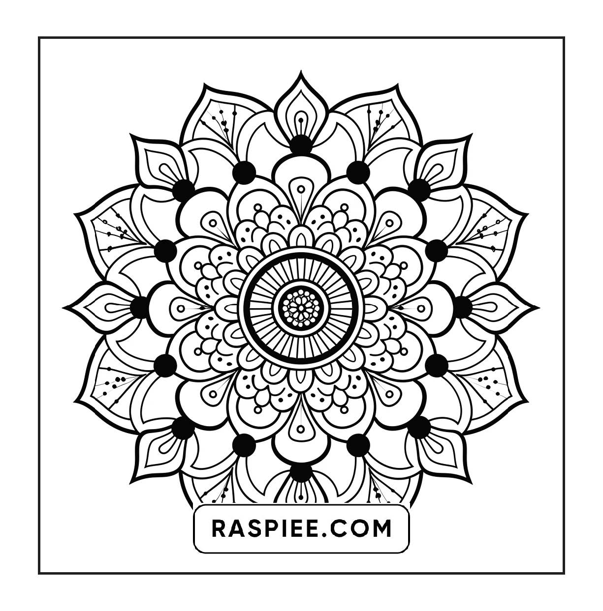 250 Mandala Adult Coloring Pages Vol.3