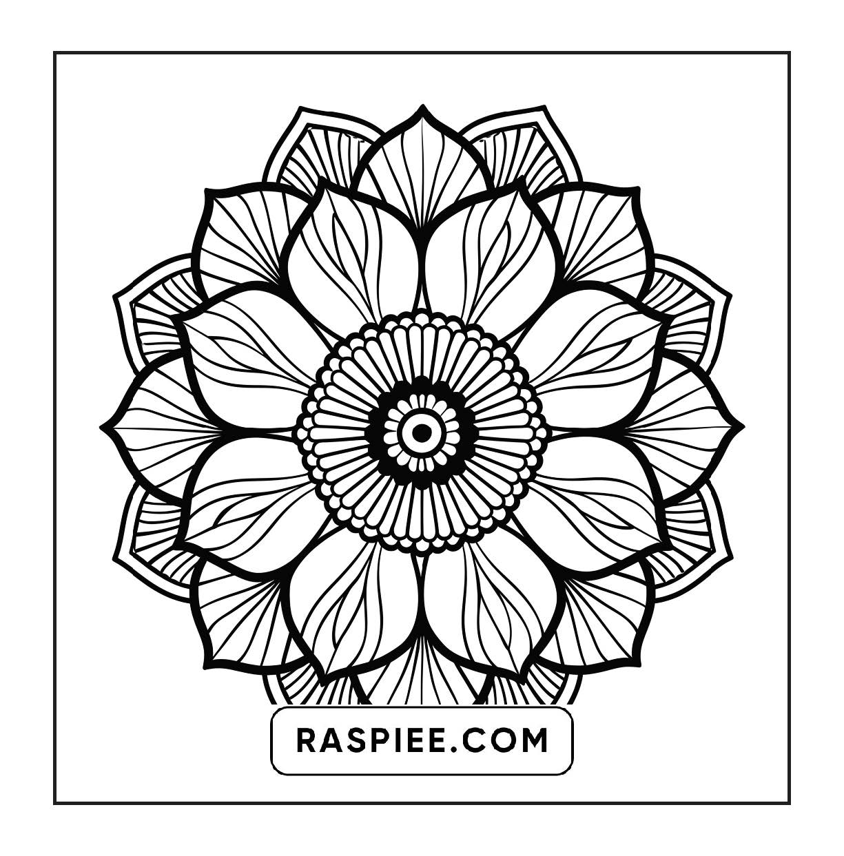 250 Mandala Adult Coloring Pages Vol.3