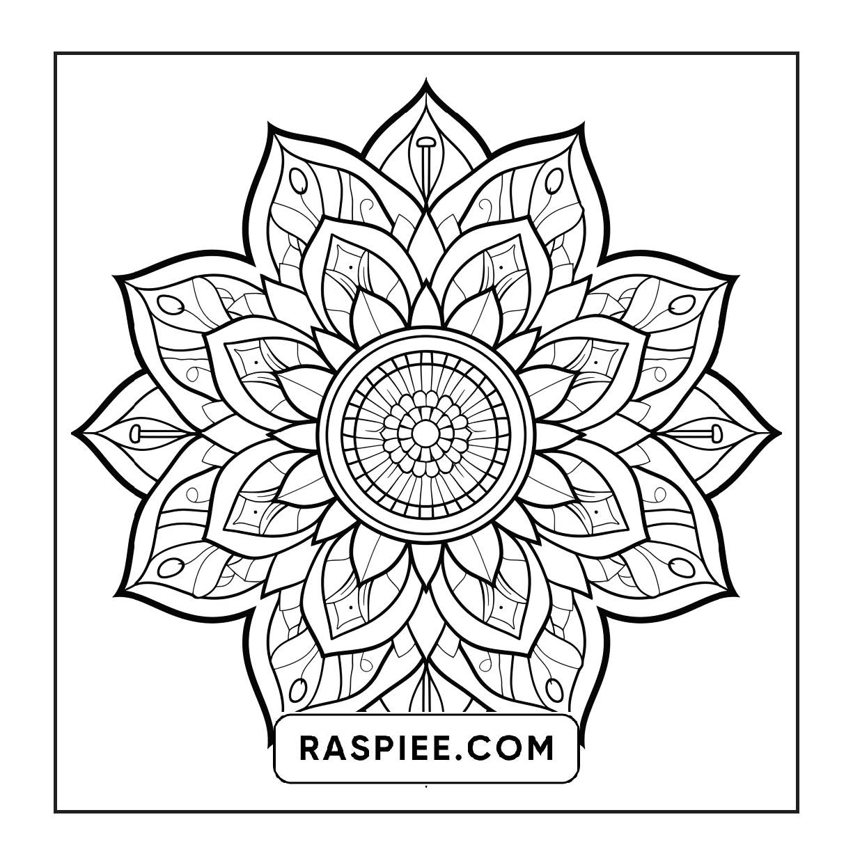 250 Mandala Adult Coloring Pages Vol.3