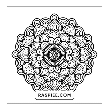 250 Mandala Adult Coloring Pages Vol.3