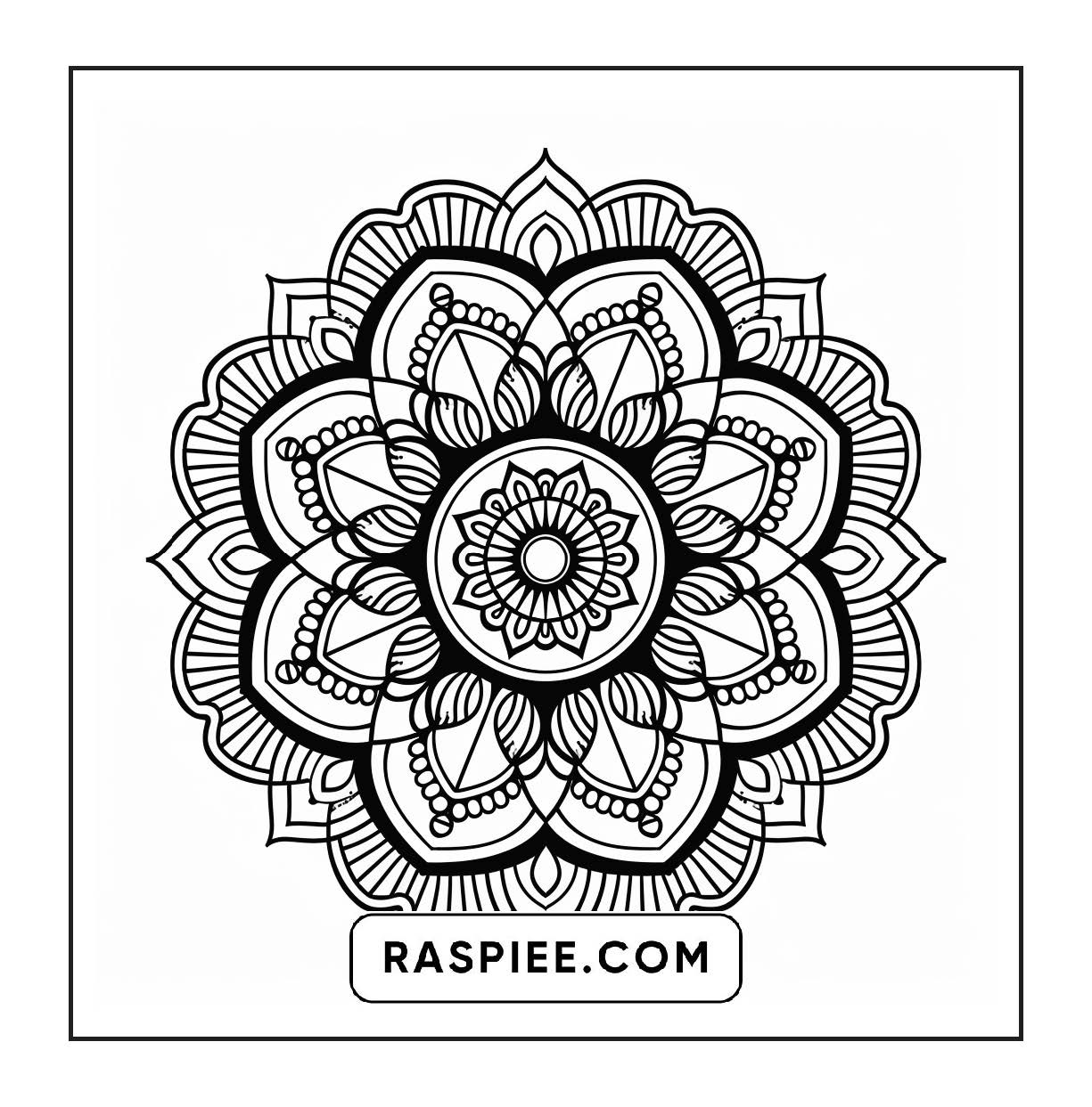 250 Mandala Adult Coloring Pages Vol.3
