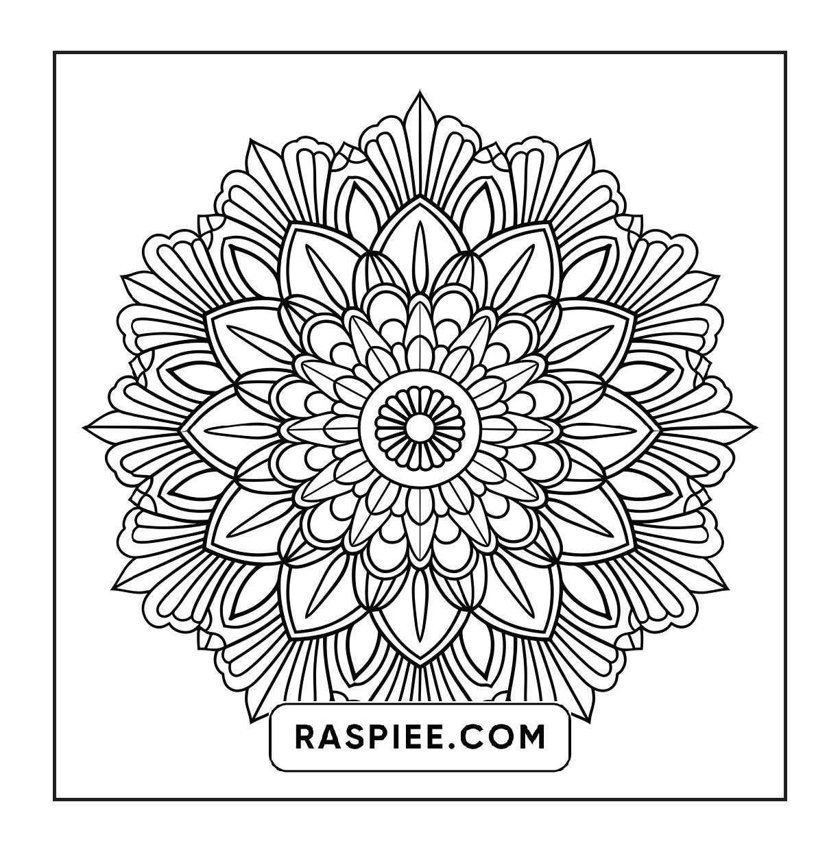 250 Mandala Adult Coloring Pages Vol.3