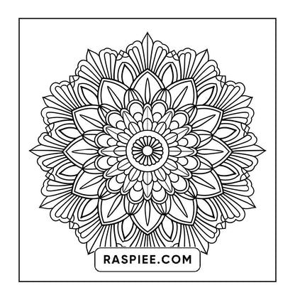 250 Mandala Adult Coloring Pages Vol.3