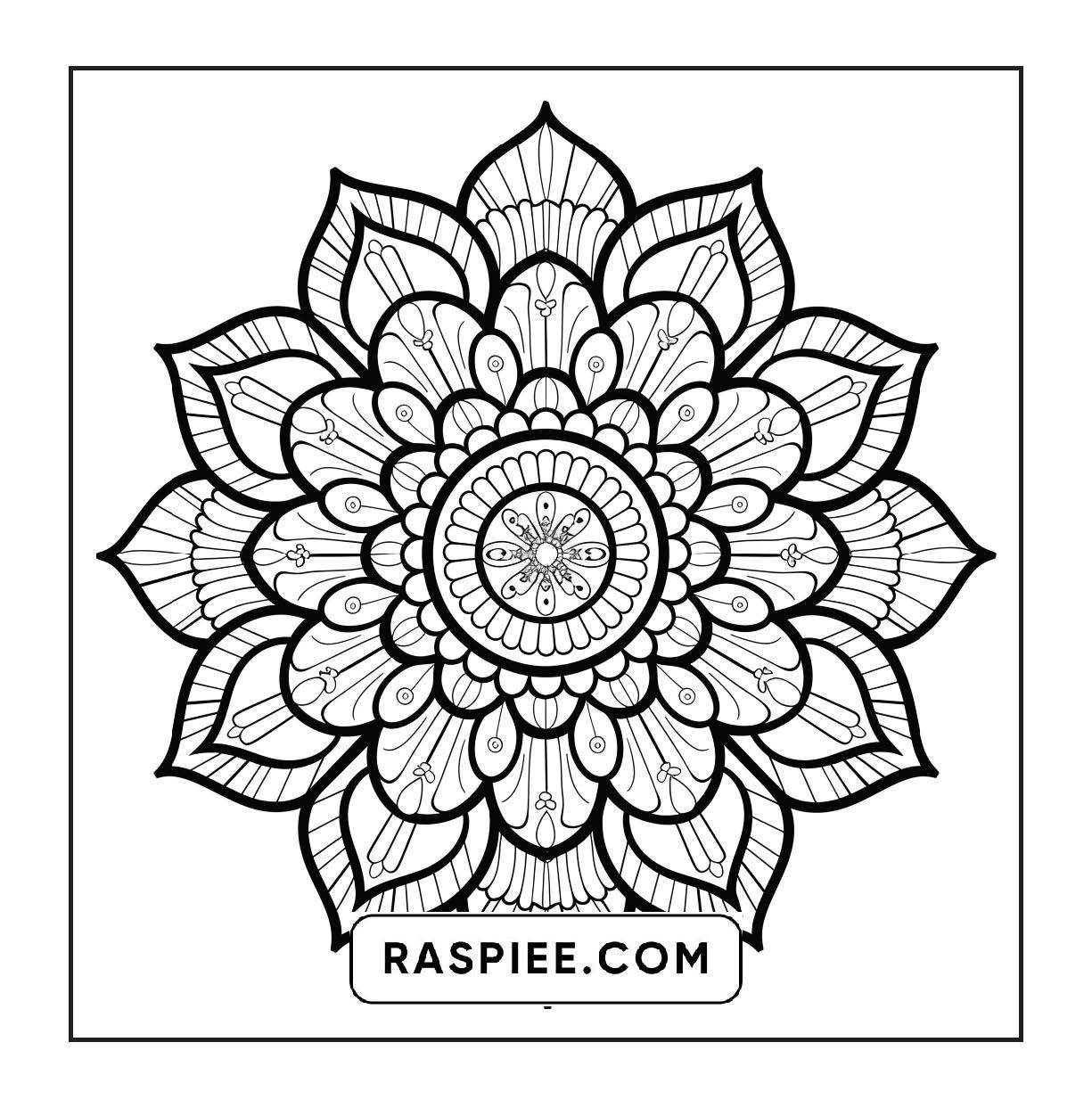 250 Mandala Adult Coloring Pages Vol.3