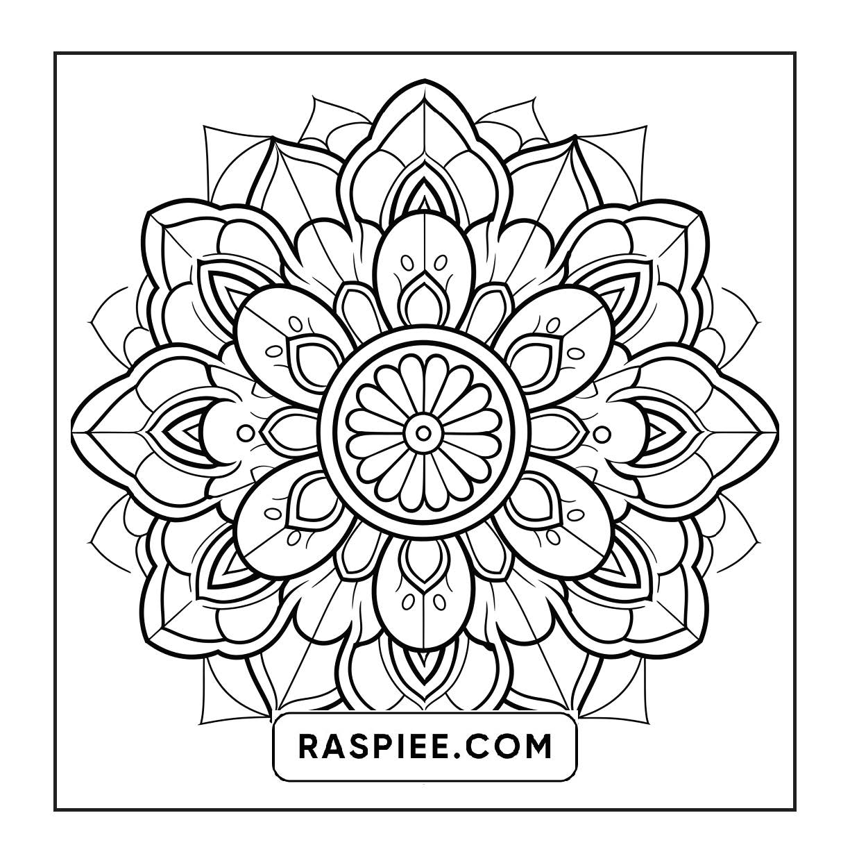 250 Mandala Adult Coloring Pages Vol.3