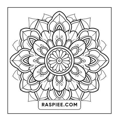 250 Mandala Adult Coloring Pages Vol.3