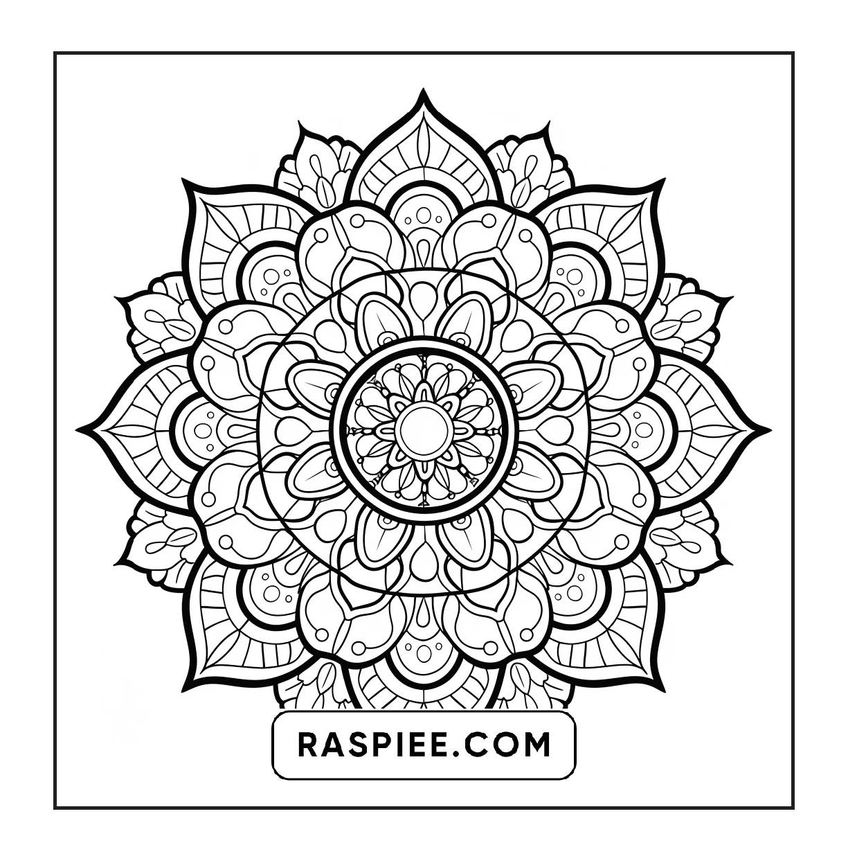 250 Mandala Adult Coloring Pages Vol.3