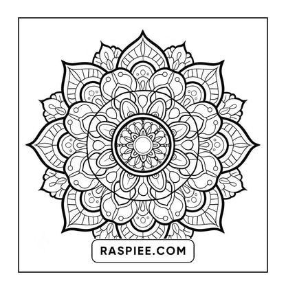 250 Mandala Adult Coloring Pages Vol.3