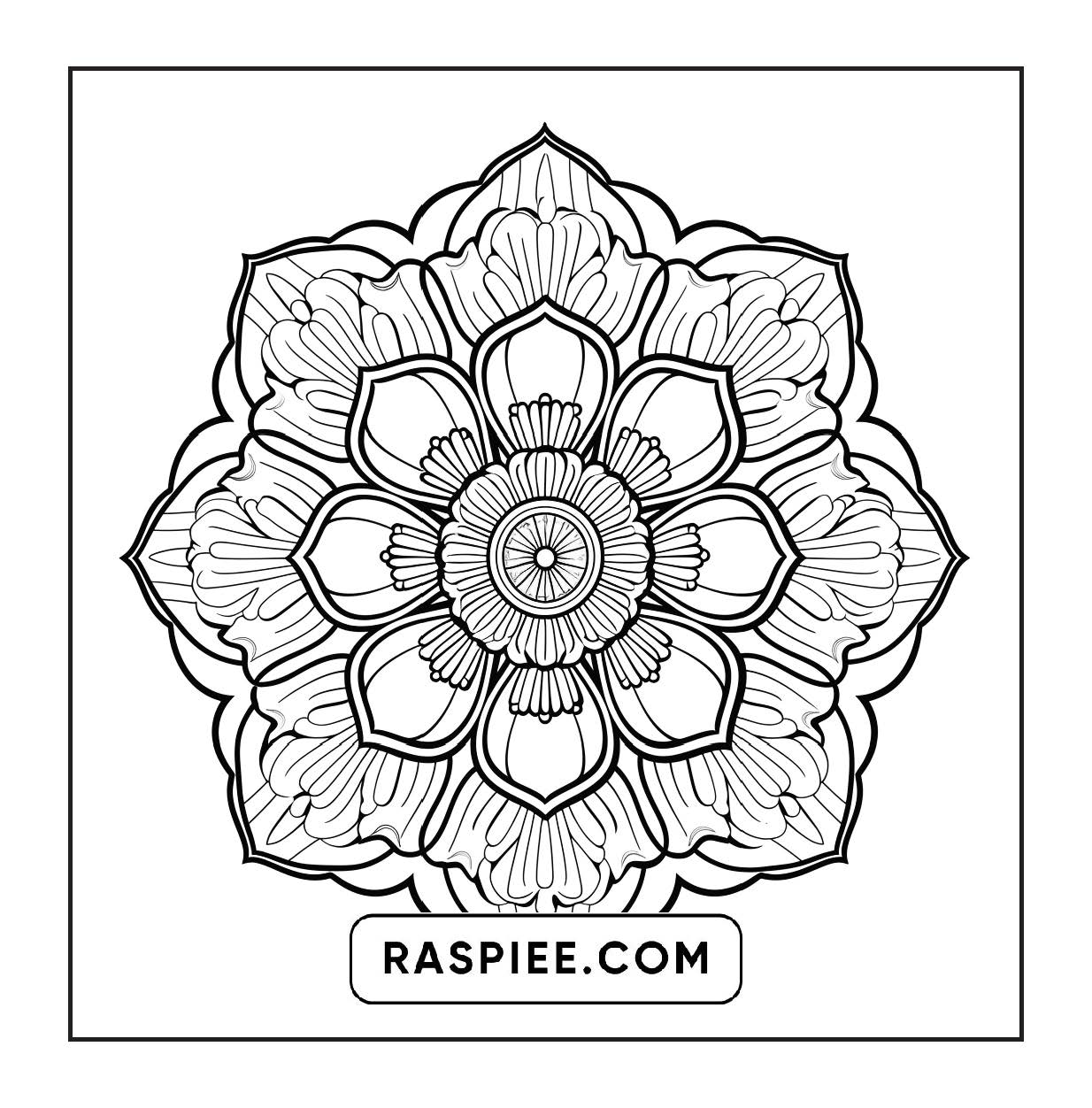 250 Mandala Adult Coloring Pages Vol.3