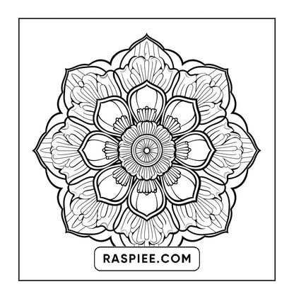 250 Mandala Adult Coloring Pages Vol.3