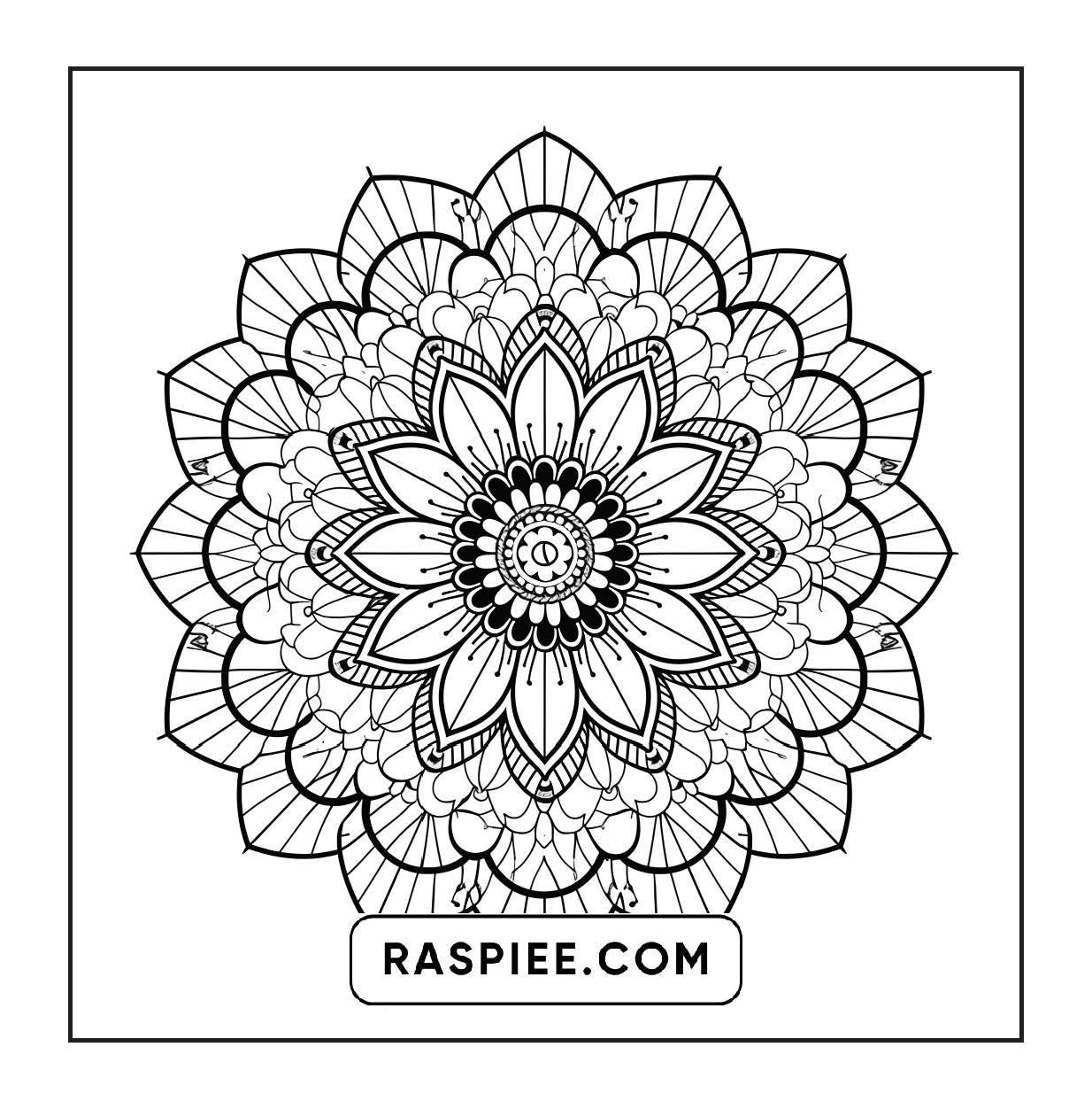250 Mandala Adult Coloring Pages Vol.3