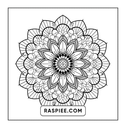 250 Mandala Adult Coloring Pages Vol.3