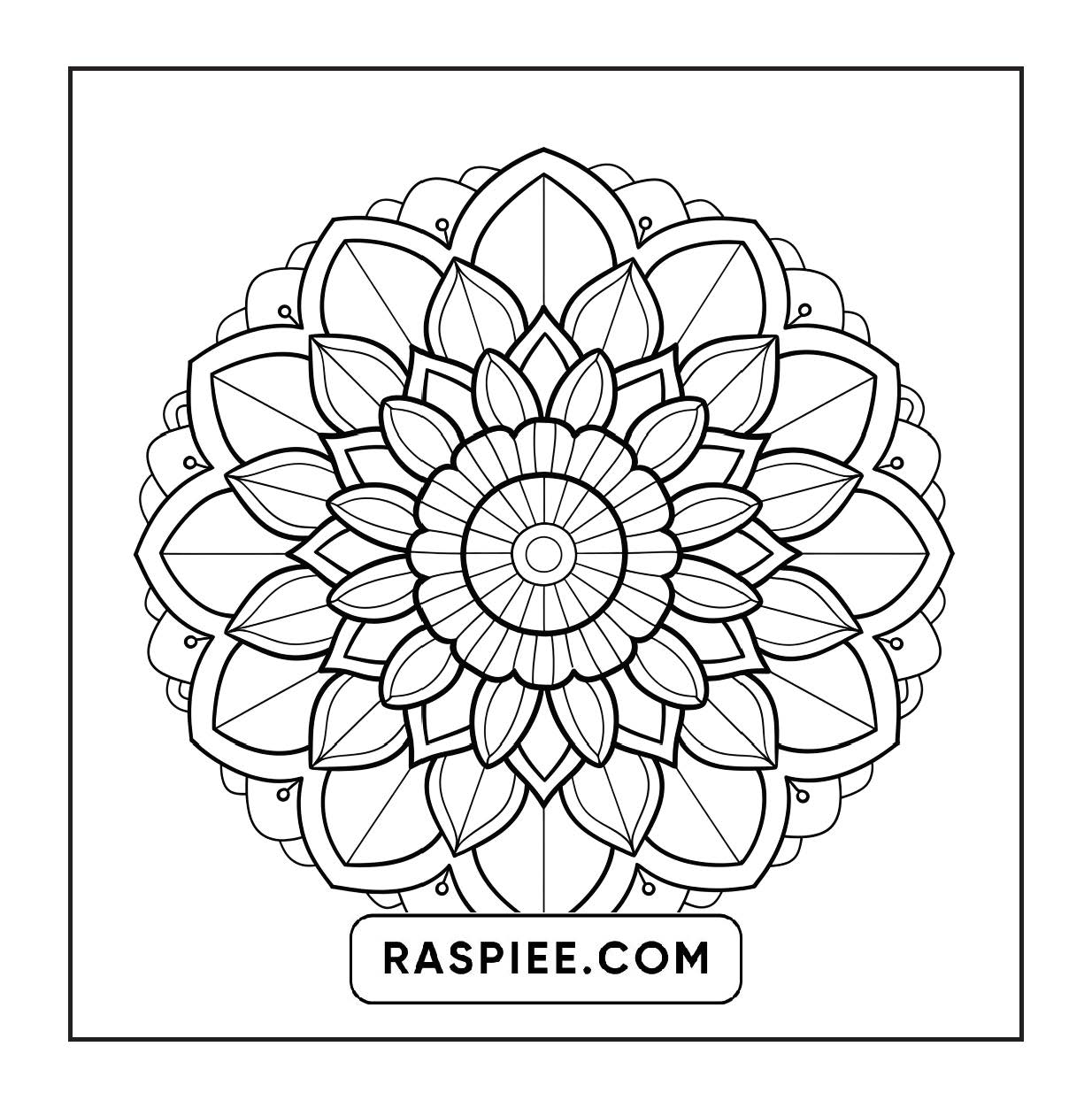 250 Mandala Adult Coloring Pages Vol.3