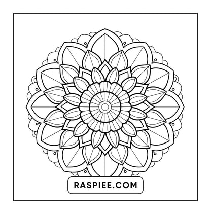 250 Mandala Adult Coloring Pages Vol.3