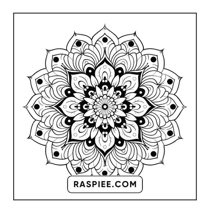250 Mandala Adult Coloring Pages Vol.3