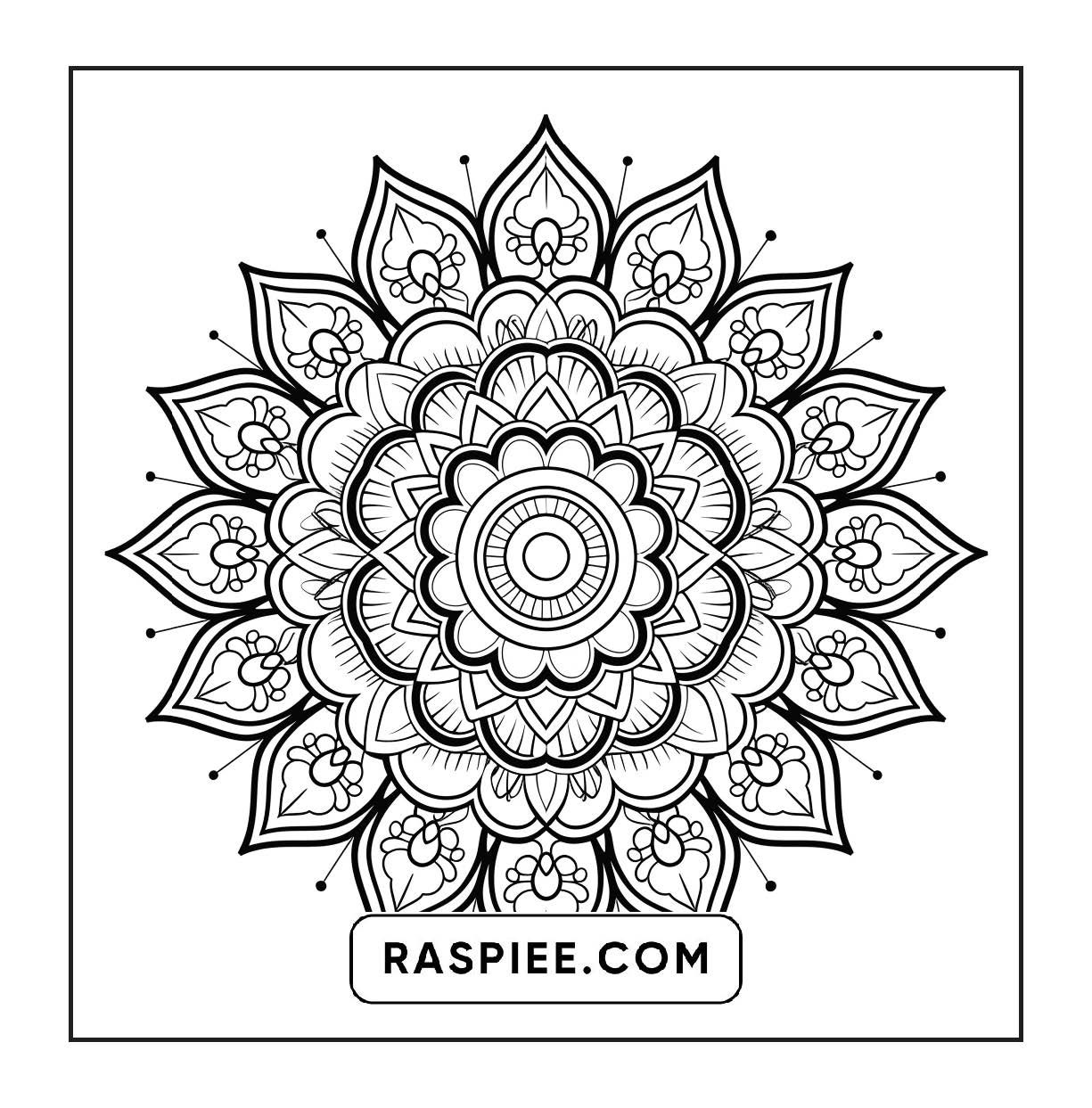 250 Mandala Adult Coloring Pages Vol.3