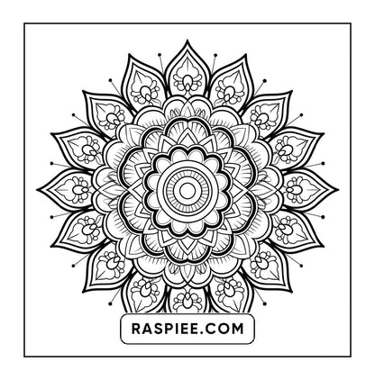 250 Mandala Adult Coloring Pages Vol.3
