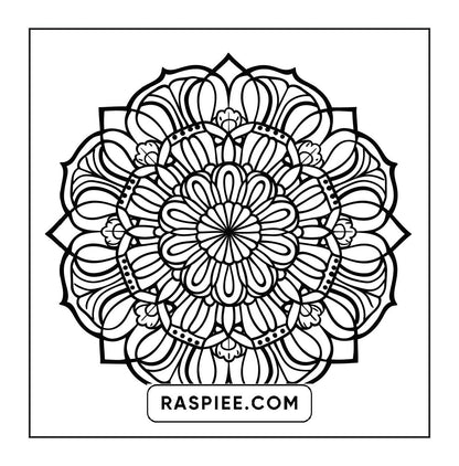 250 Mandala Adult Coloring Pages Vol.3