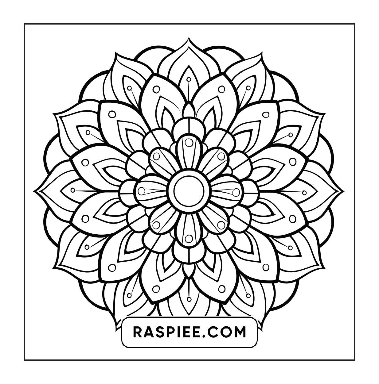 250 Mandala Adult Coloring Pages Vol.3