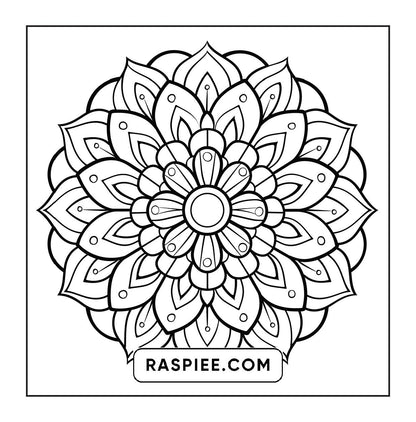 250 Mandala Adult Coloring Pages Vol.3