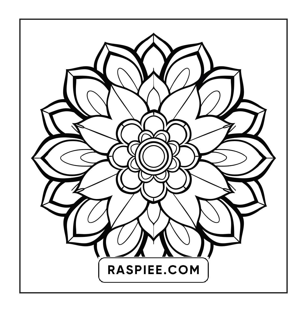 250 Mandala Adult Coloring Pages Vol.3