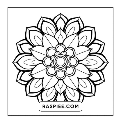 250 Mandala Adult Coloring Pages Vol.3