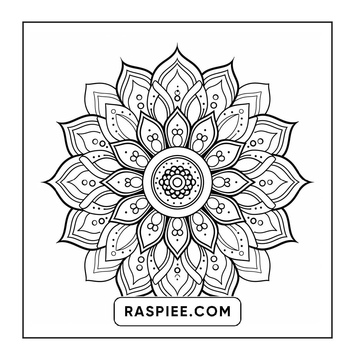 250 Mandala Adult Coloring Pages Vol.3