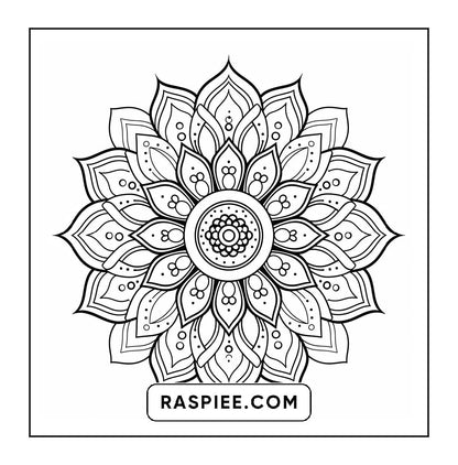 250 Mandala Adult Coloring Pages Vol.3
