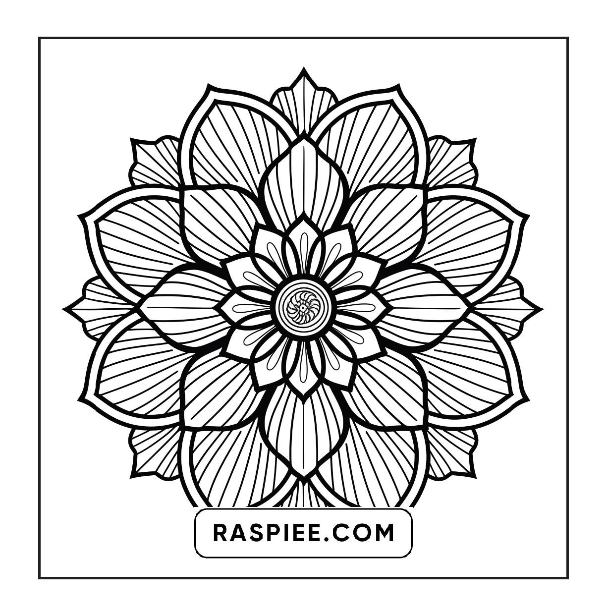 250 Mandala Adult Coloring Pages Vol.3