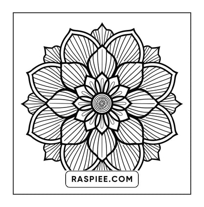 250 Mandala Adult Coloring Pages Vol.3
