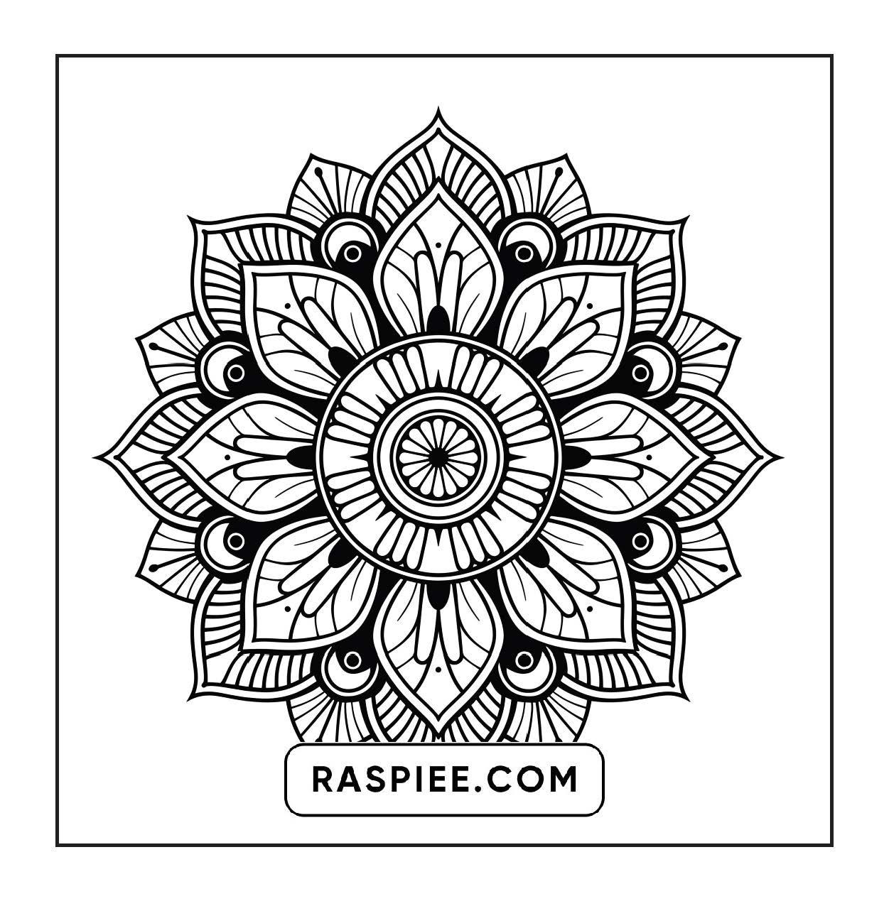 250 Mandala Adult Coloring Pages Vol.3