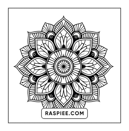 250 Mandala Adult Coloring Pages Vol.3