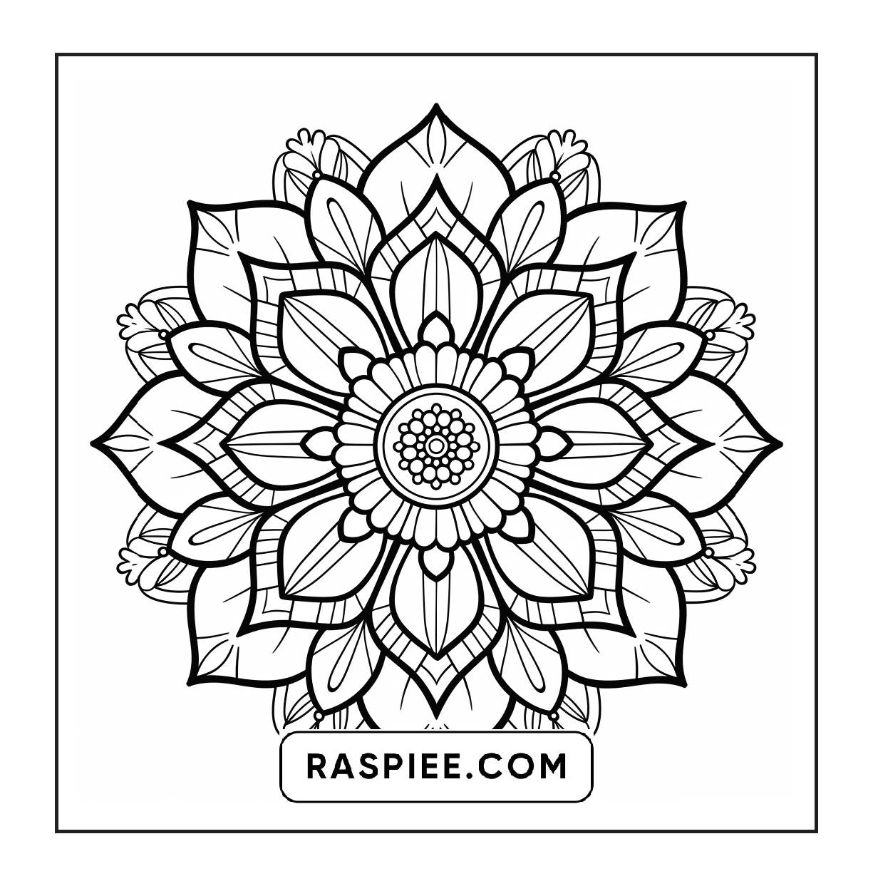 250 Mandala Adult Coloring Pages Vol.3