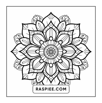 250 Mandala Adult Coloring Pages Vol.3