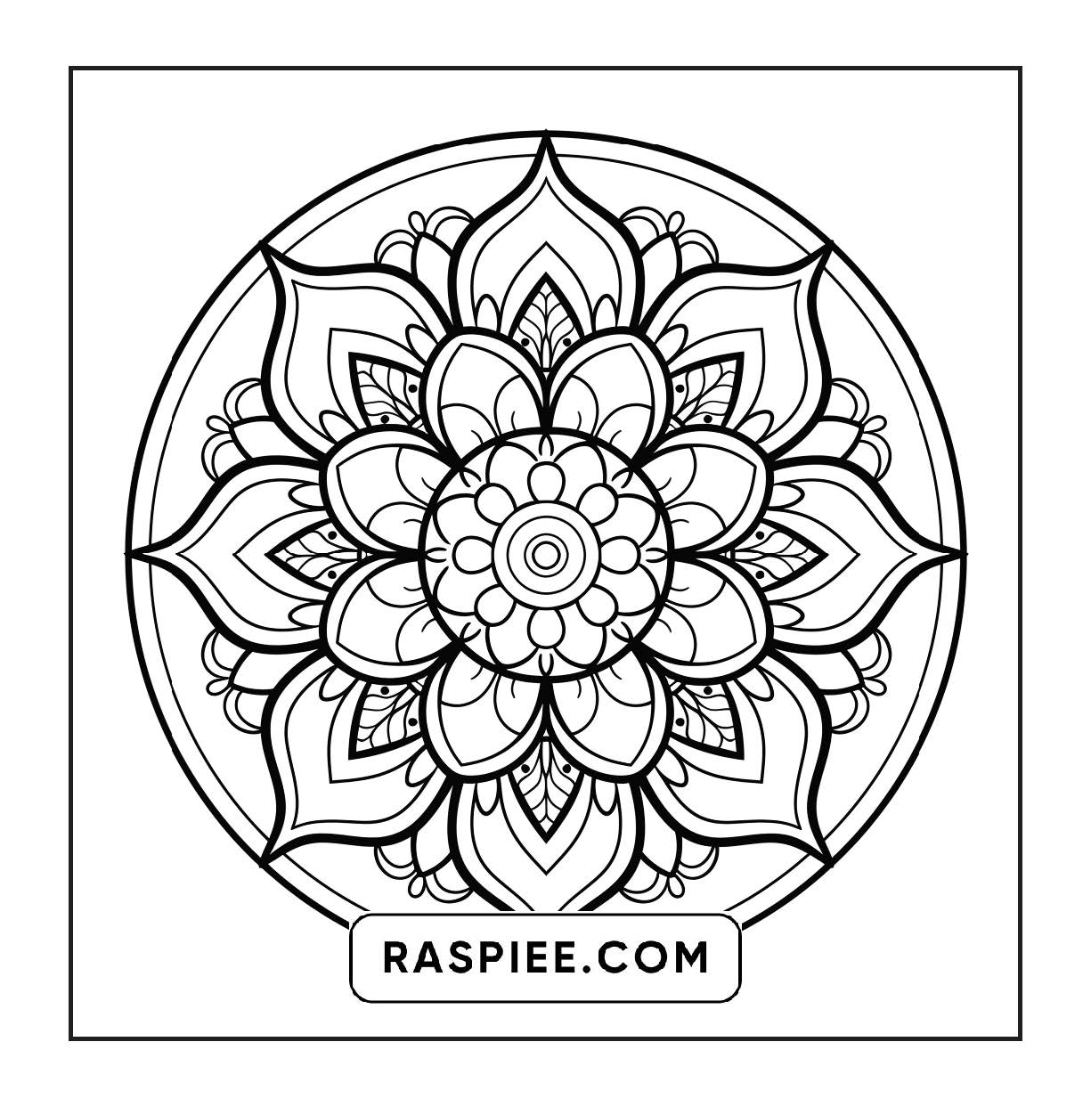 250 Mandala Adult Coloring Pages Vol.3