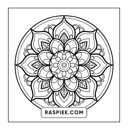 250 Mandala Adult Coloring Pages Vol.3