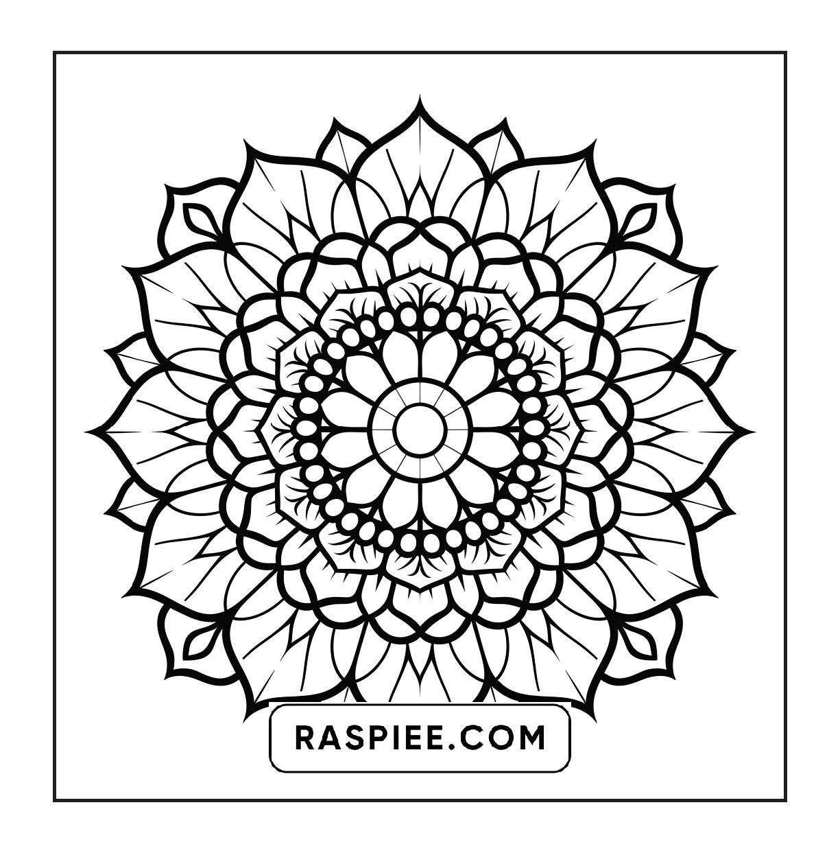250 Mandala Adult Coloring Pages Vol.3