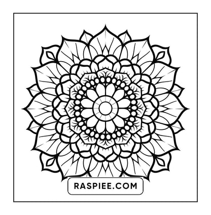 250 Mandala Adult Coloring Pages Vol.3