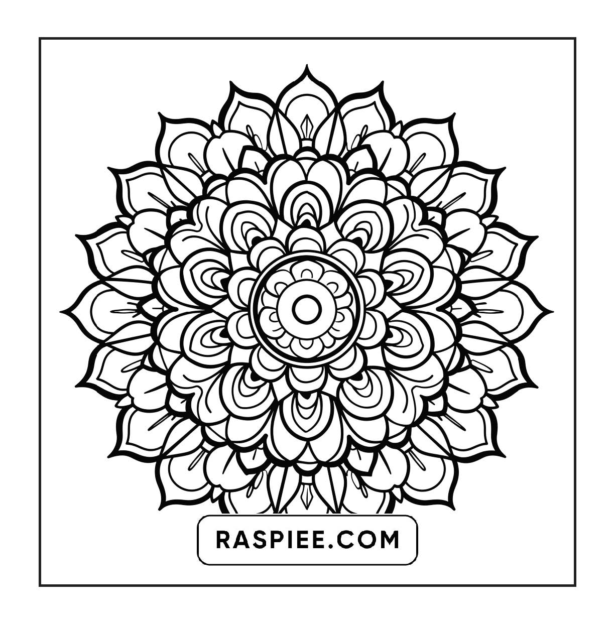 250 Mandala Adult Coloring Pages Vol.3