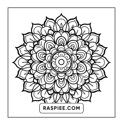 250 Mandala Adult Coloring Pages Vol.3
