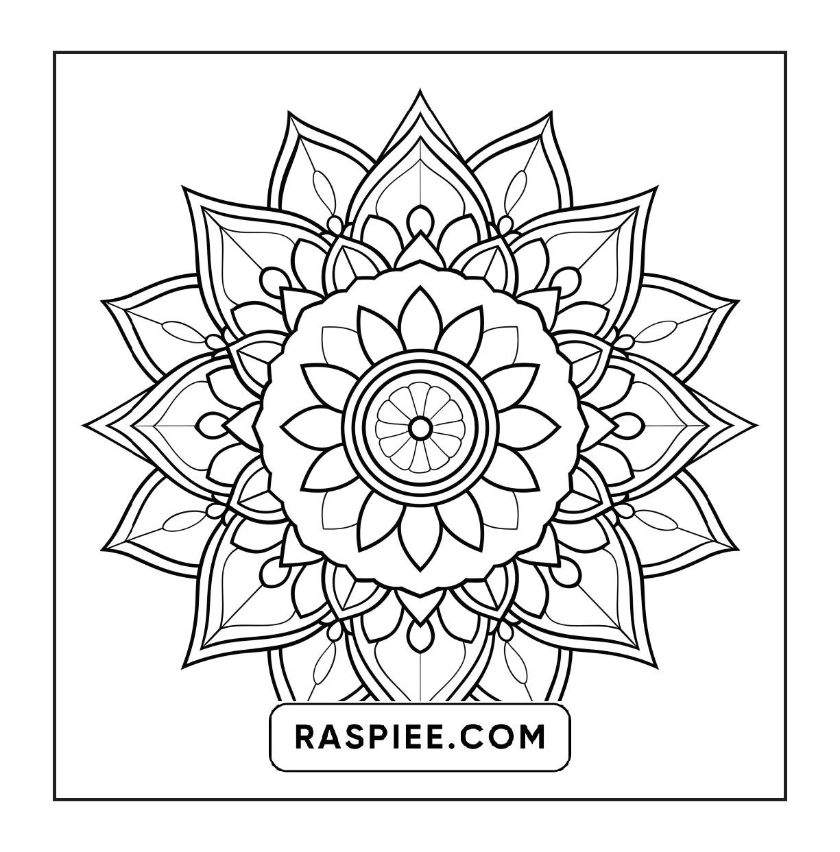 250 Mandala Adult Coloring Pages Vol.3