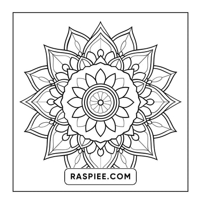 250 Mandala Adult Coloring Pages Vol.3