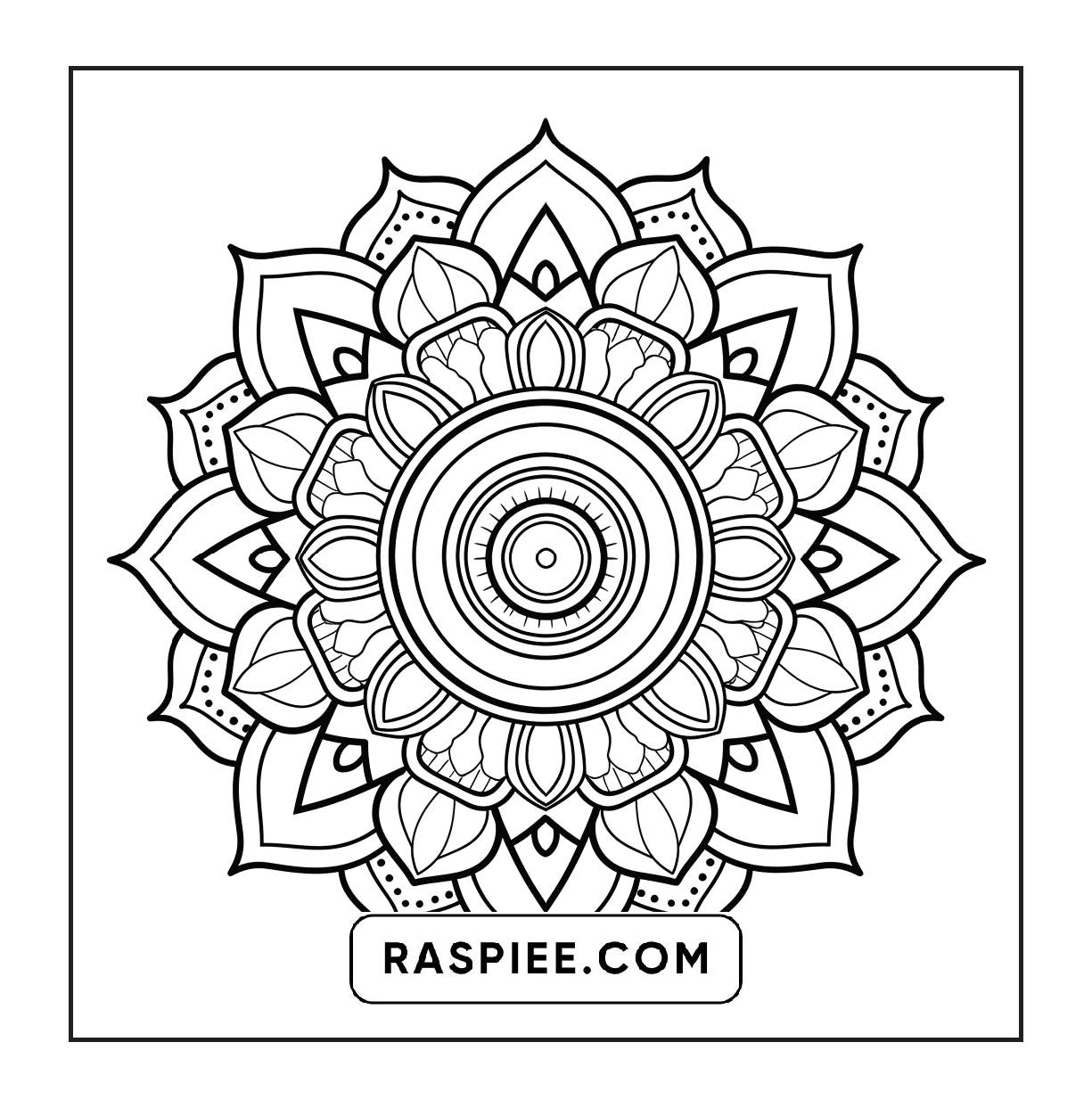 250 Mandala Adult Coloring Pages Vol.3