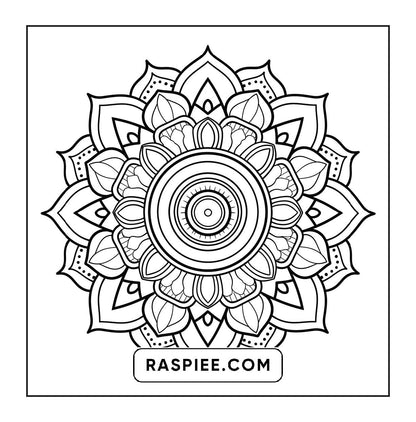 250 Mandala Adult Coloring Pages Vol.3