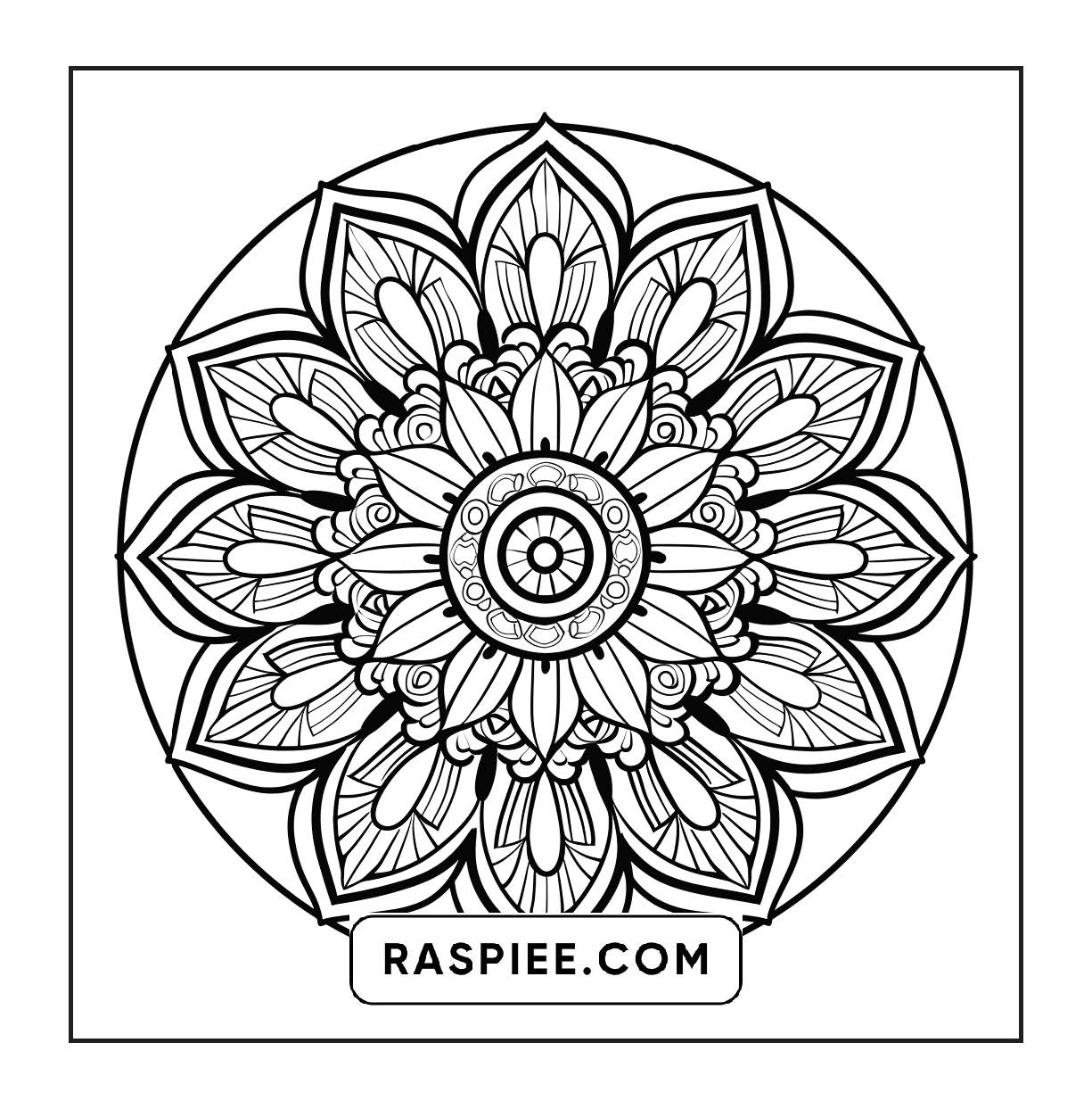250 Mandala Adult Coloring Pages Vol.3