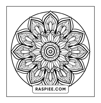 250 Mandala Adult Coloring Pages Vol.3